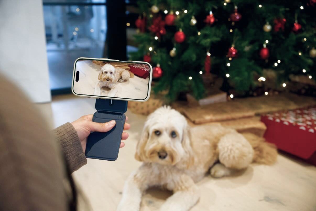 Съёмка собаки на iPhone, установленный на подставку MOFT
